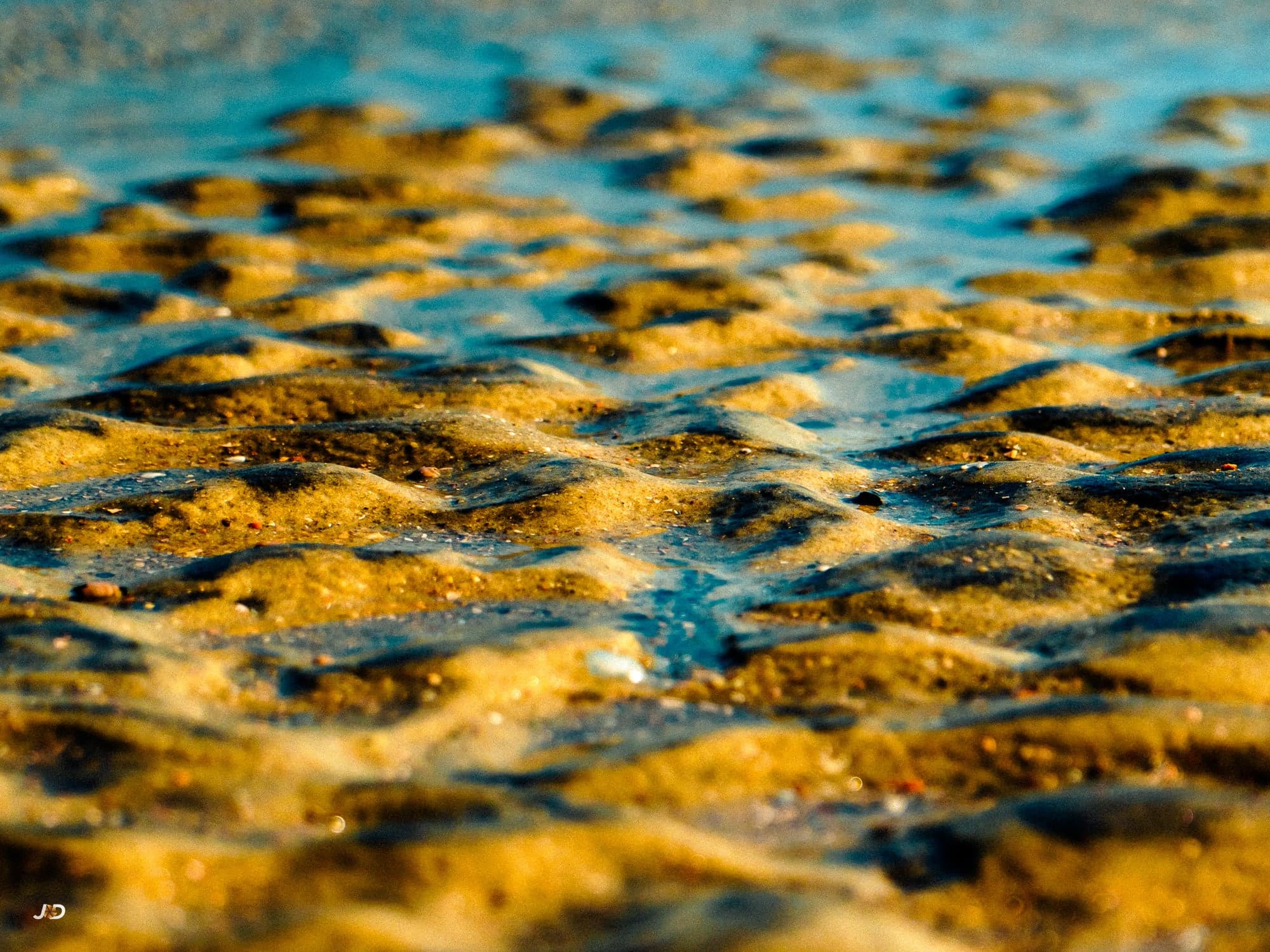 Low Tide